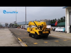 gru cingolata del ragno