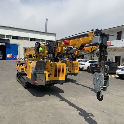 Granata Spider Crawler personalizzata Motore diesel e doppia potenza elettrica