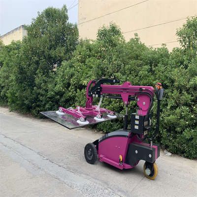 Potente sollevatore di vetro da 380V/220V con carico massimo di 800 kg e colori personalizzati